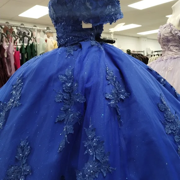 Elegant New Quinceañera Dress - Picture 8 of 11